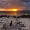 elizabeth_nowak